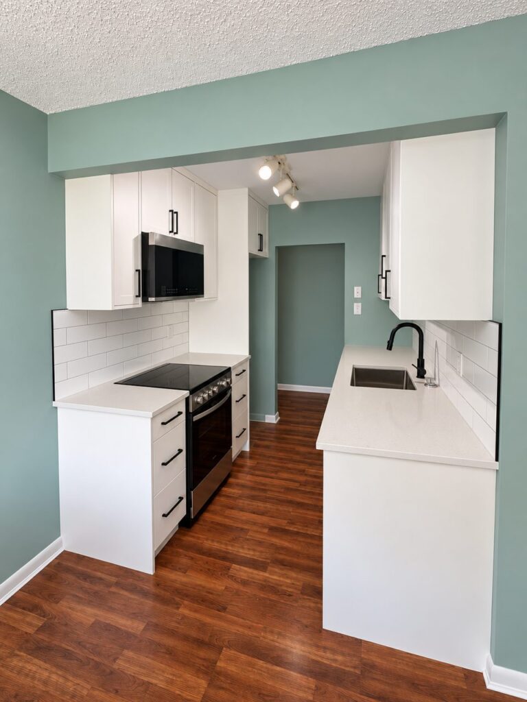 James Bay Condo Kitchen